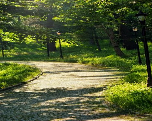 Green dynamic park background representing outdoor light walks